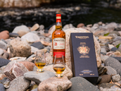 Tomintoul Strikes Gold at IWSC