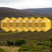 Six Tomintoul expressions awarded Gold and Old Ballantruan 15 wins Master Medal at Global Scotch Whisky Masters 2025